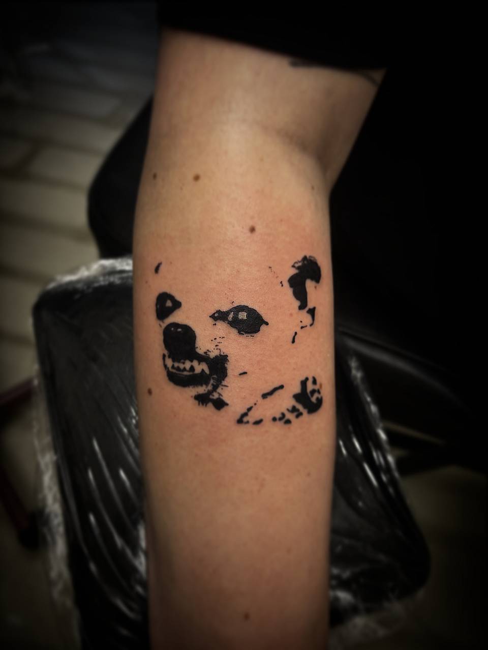 Negative Space Canine Portrait