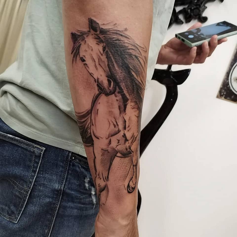 Noble Horse Portrait