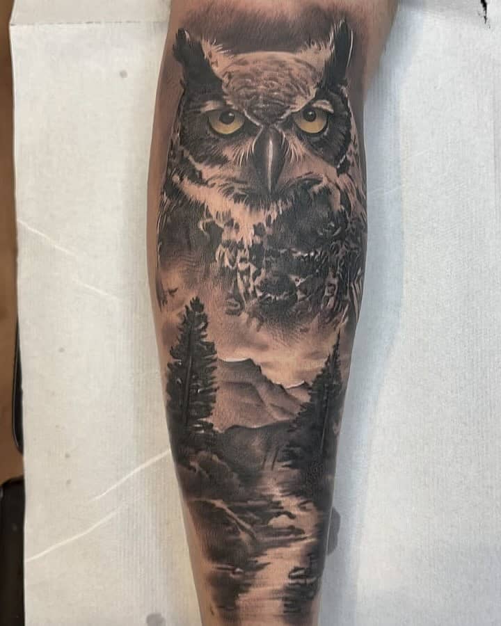 Nocturnal Owl Over Mountain Stream