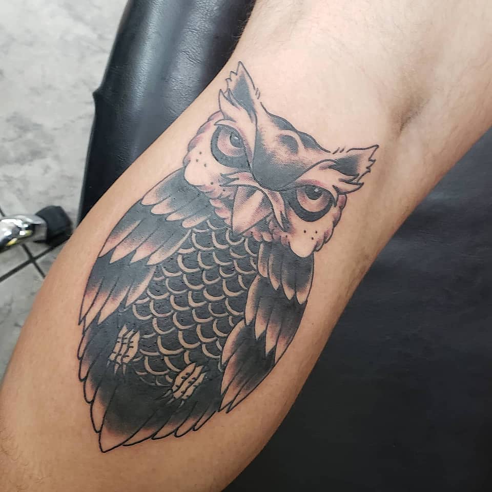 Nocturnal Sentinel Owl