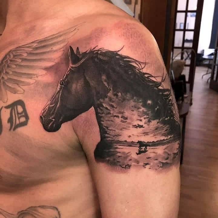 Ocean-Mane Stallion