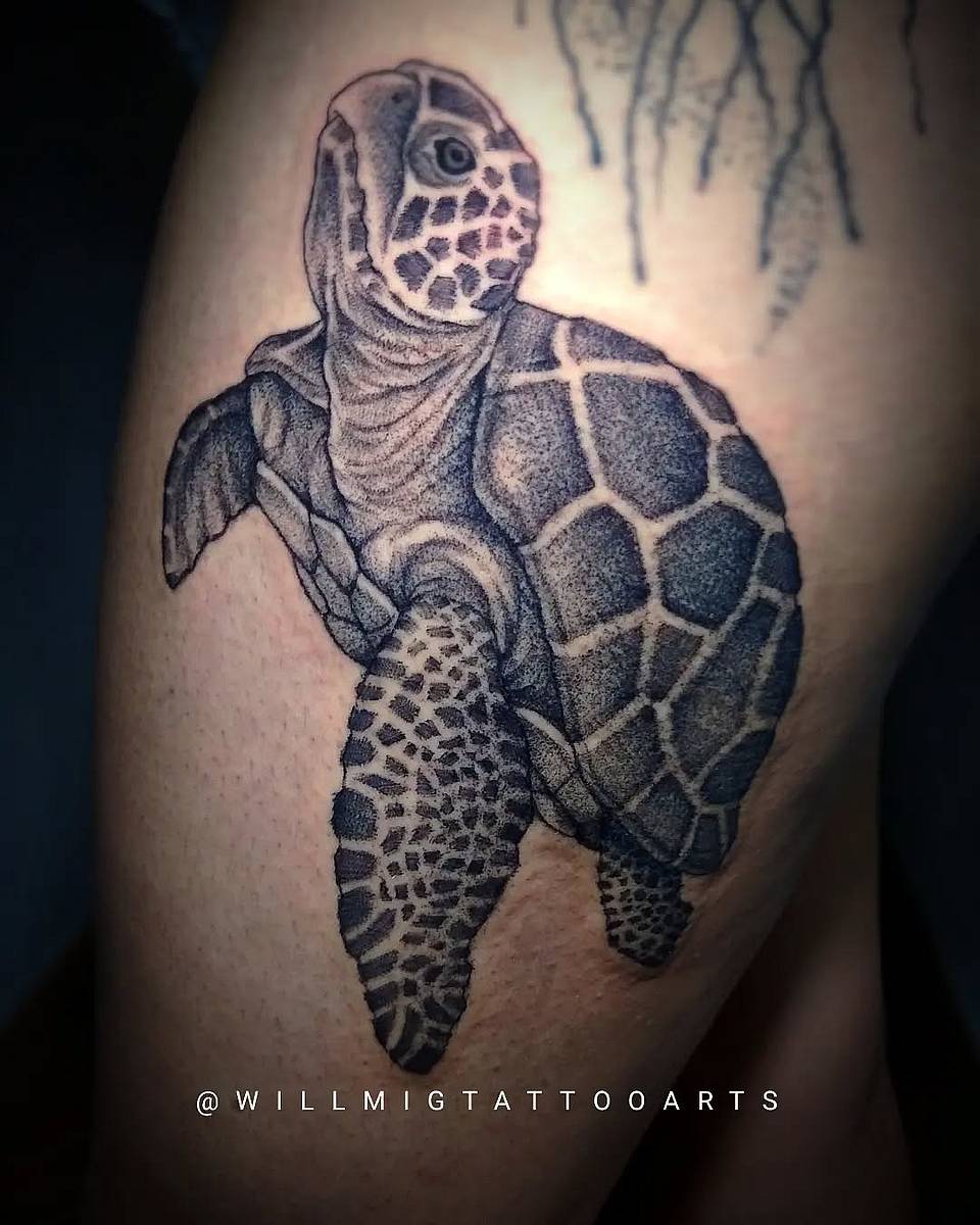 Ocean Voyager Turtle