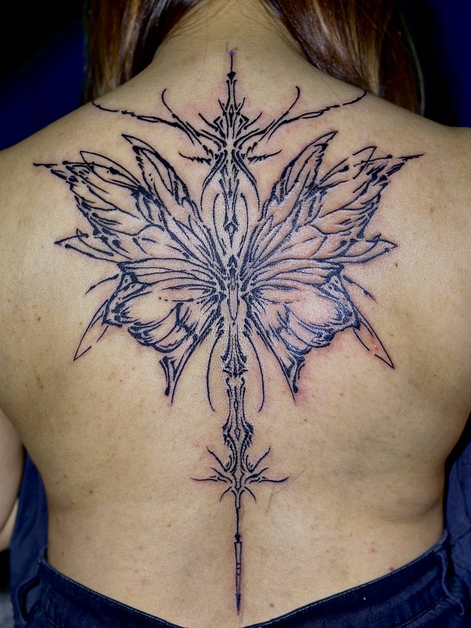 Ornamental Butterfly Spine