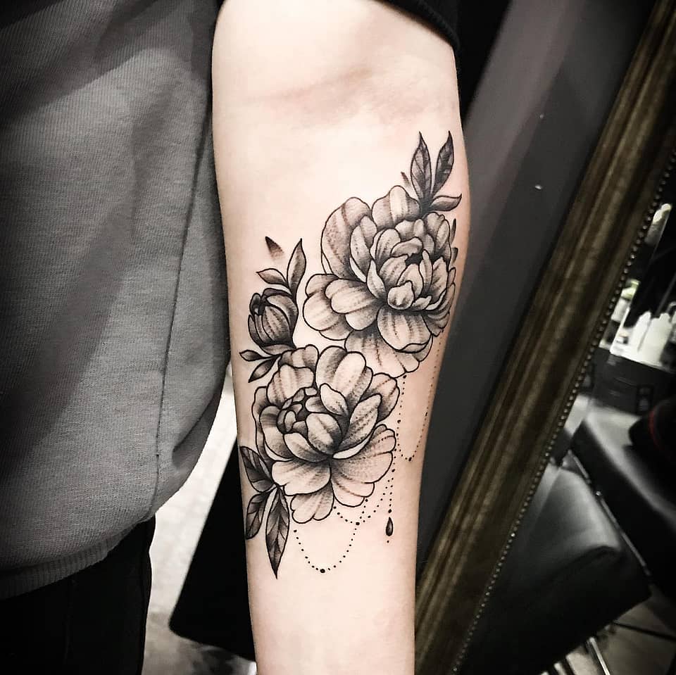 Ornamental Peony Cascade