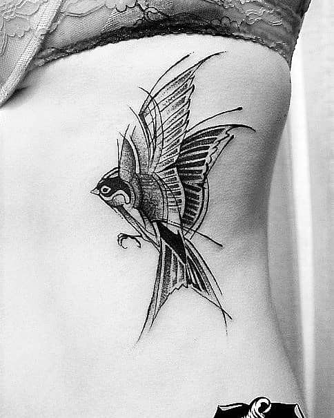 Ornamental Swallow