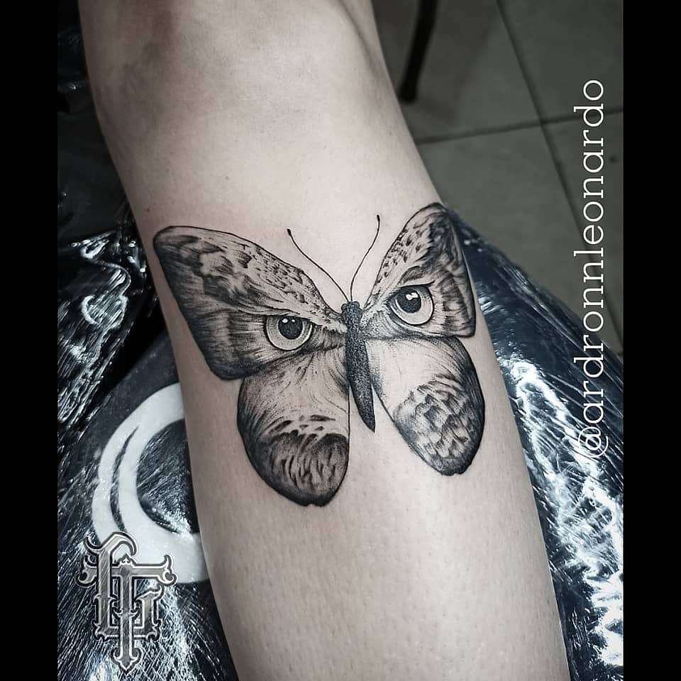 Owl-Eyed Moth