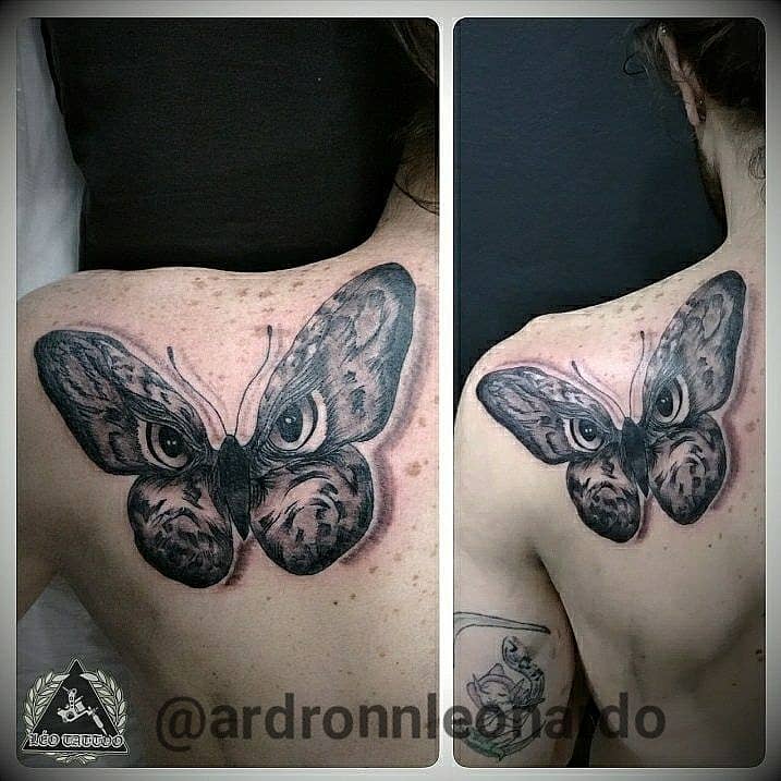 Owl-Eyed Moth