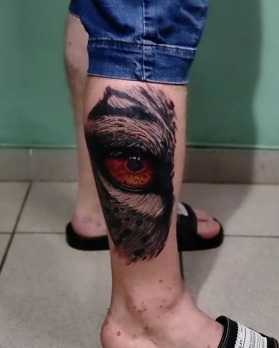 Owl’s Ember Gaze