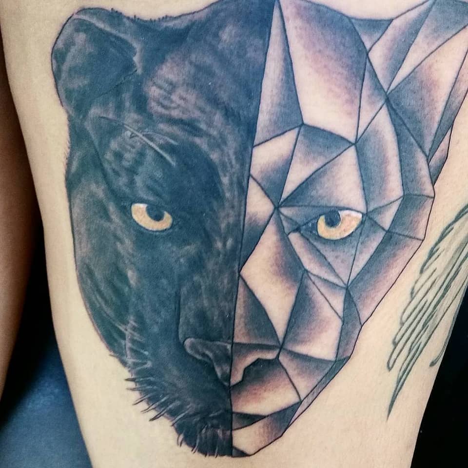 Panther Duality