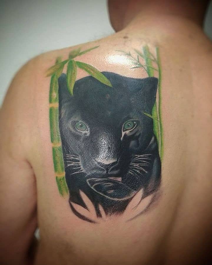 Panther in Bamboo