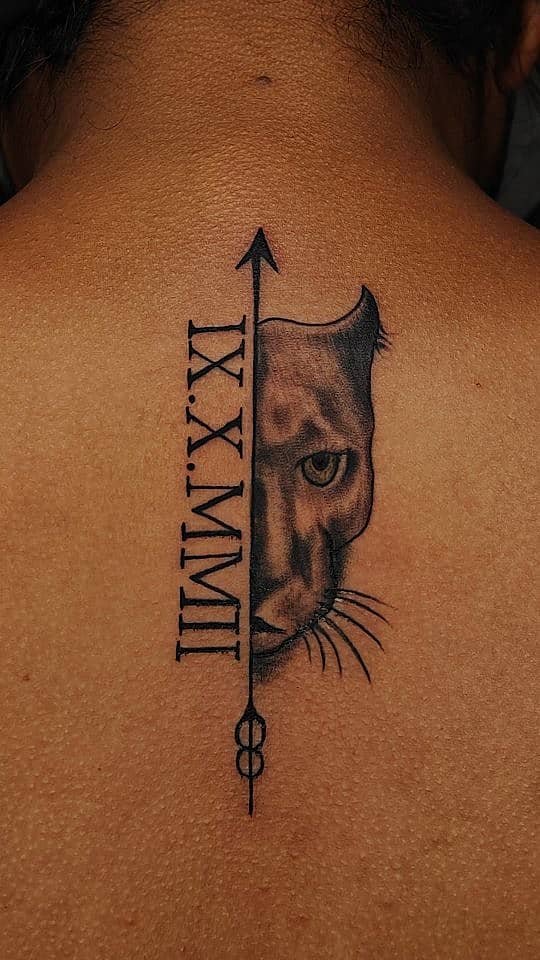 Panther Split by Arrow with Roman Numerals