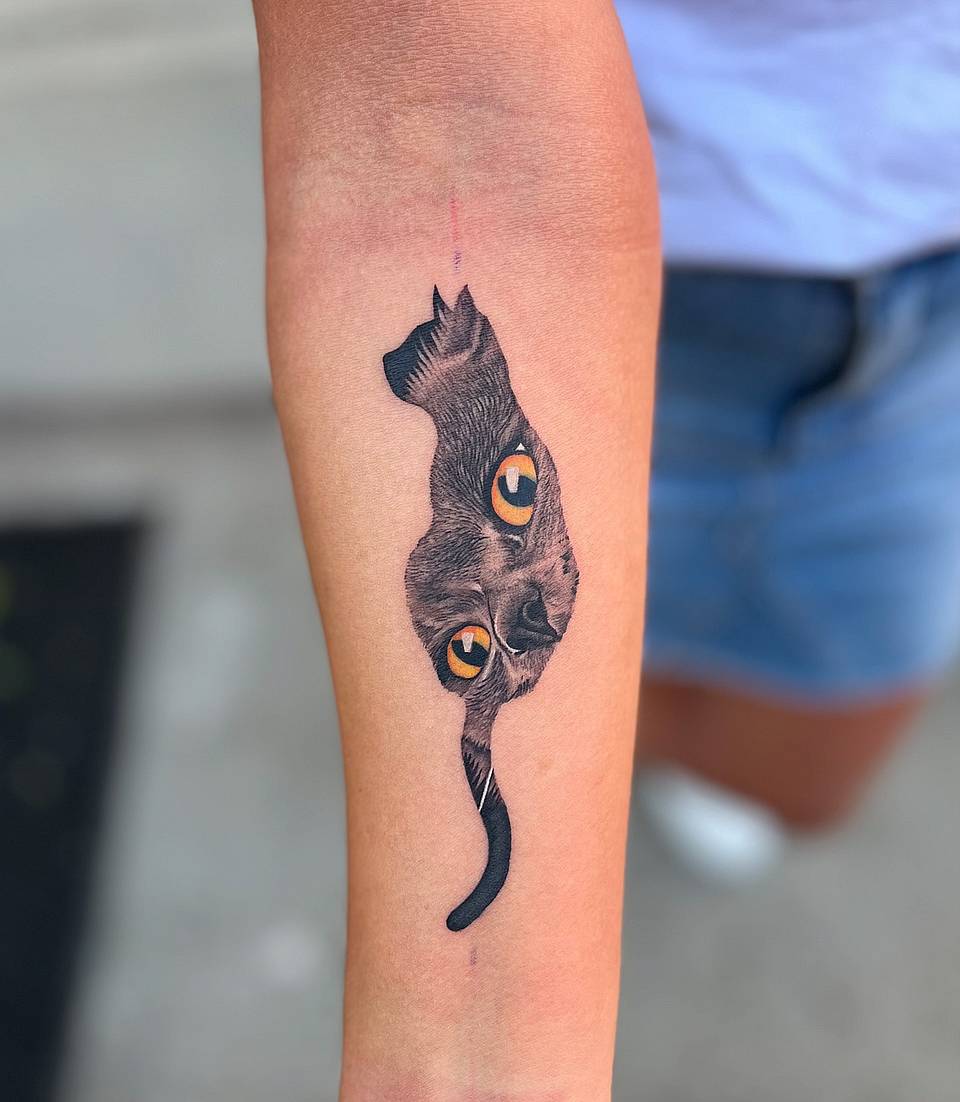 Peekaboo Black Cat