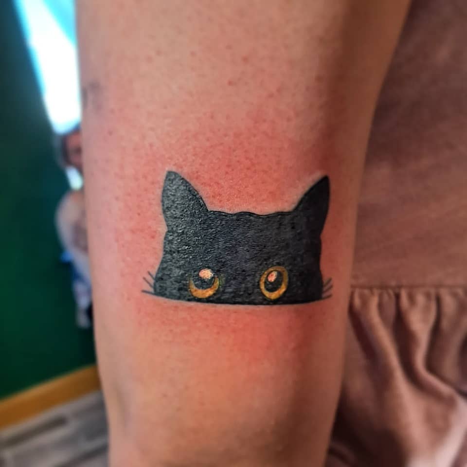 Peekaboo Black Cat