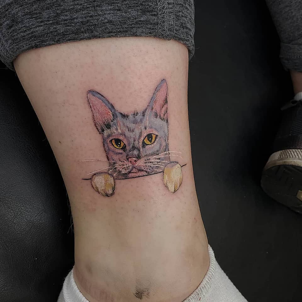 Peeking Cat Ankle Portrait