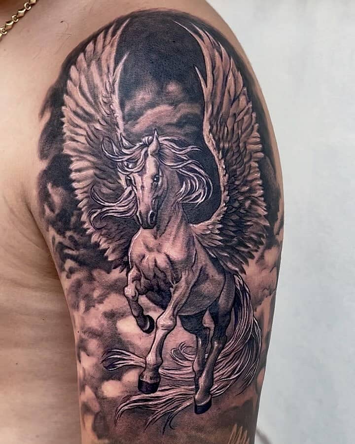 Pegasus Rising