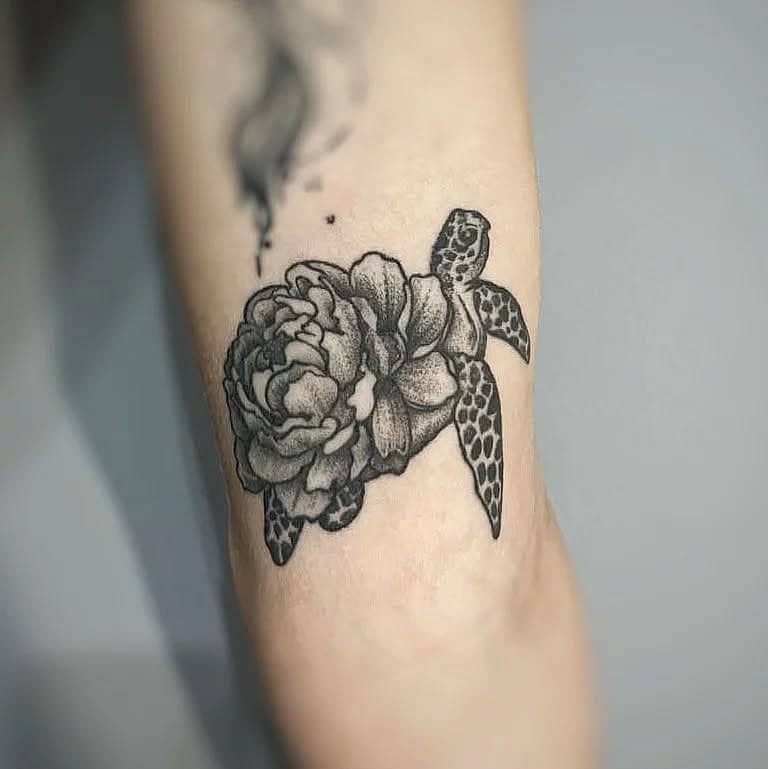 Peony Shell Sea Turtle