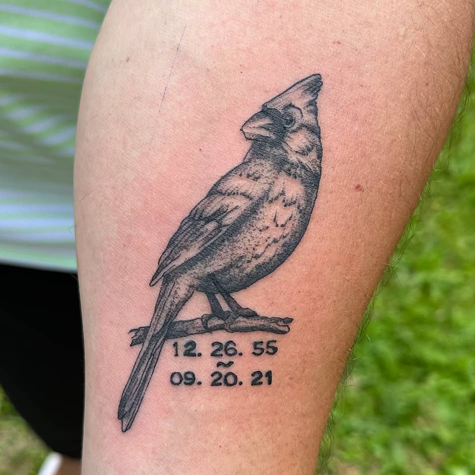 Perched Cardinal Memorial