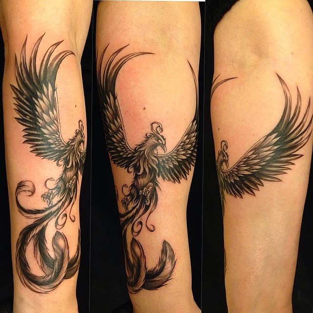 Phoenix in Flight