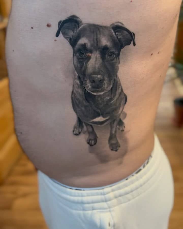 Photorealistic Sitting Pup