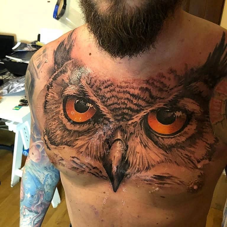 Piercing Owl Gaze