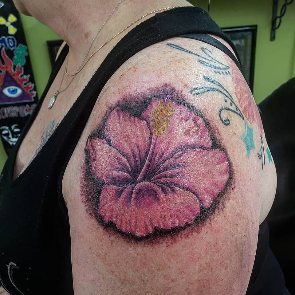 Pink Hibiscus Bloom