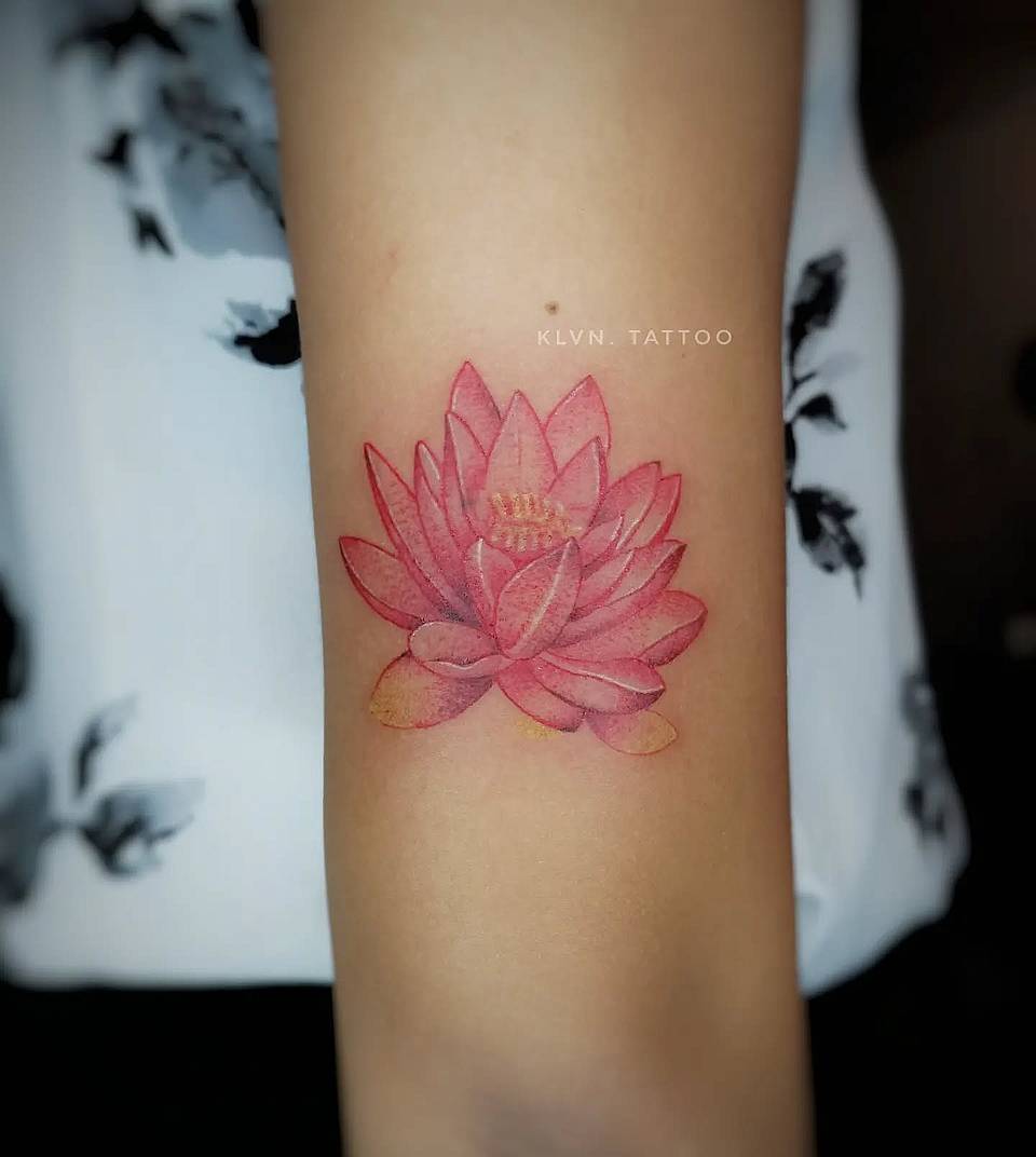 Pink Lotus Bloom