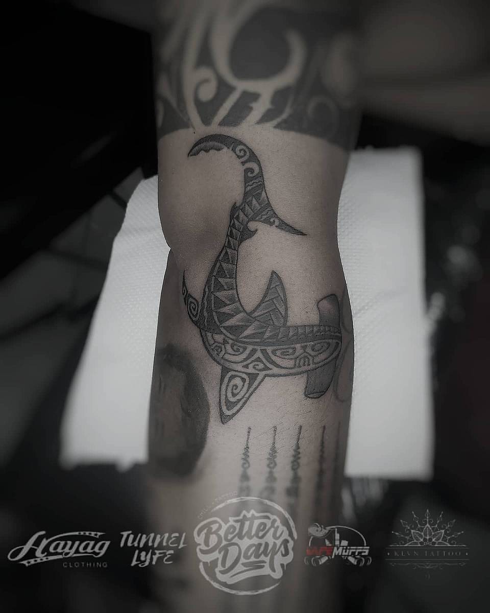 Polynesian Hammerhead
