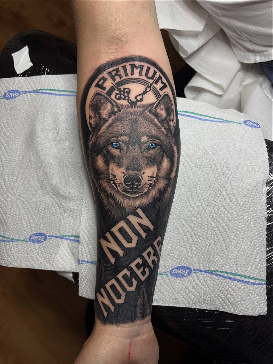 Primum Non Nocere Wolf