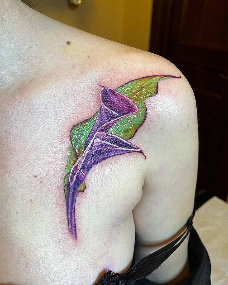 Purple Calla Lily