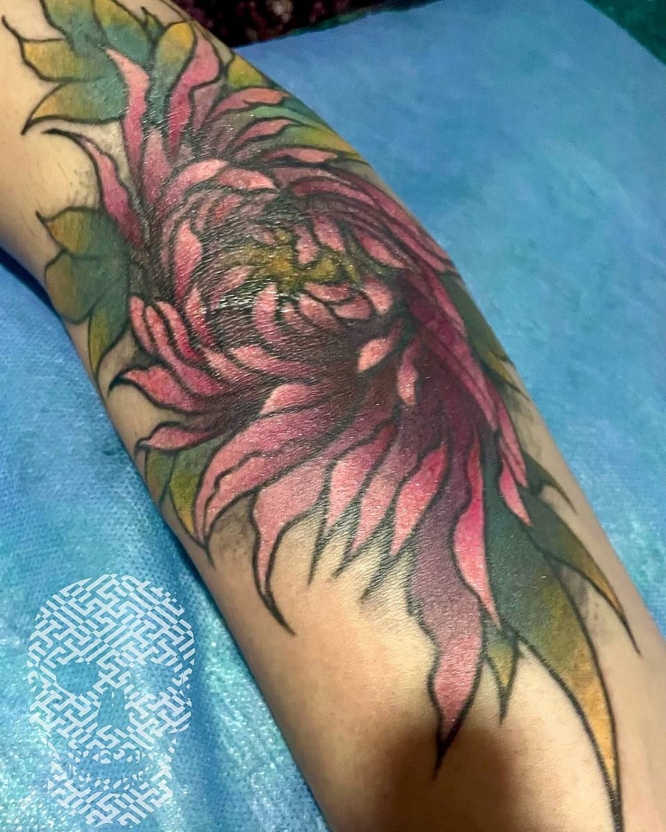 Radiant Chrysanthemum Bloom