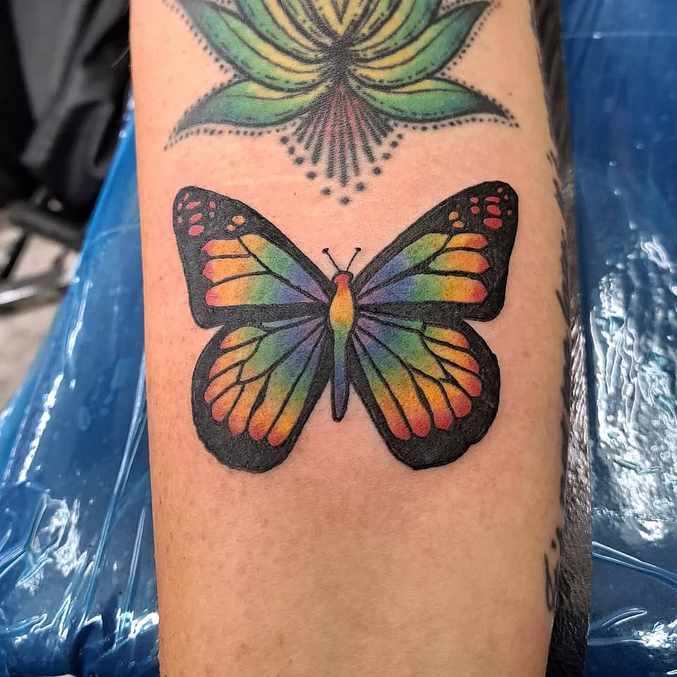 Rainbow Monarch Transformation