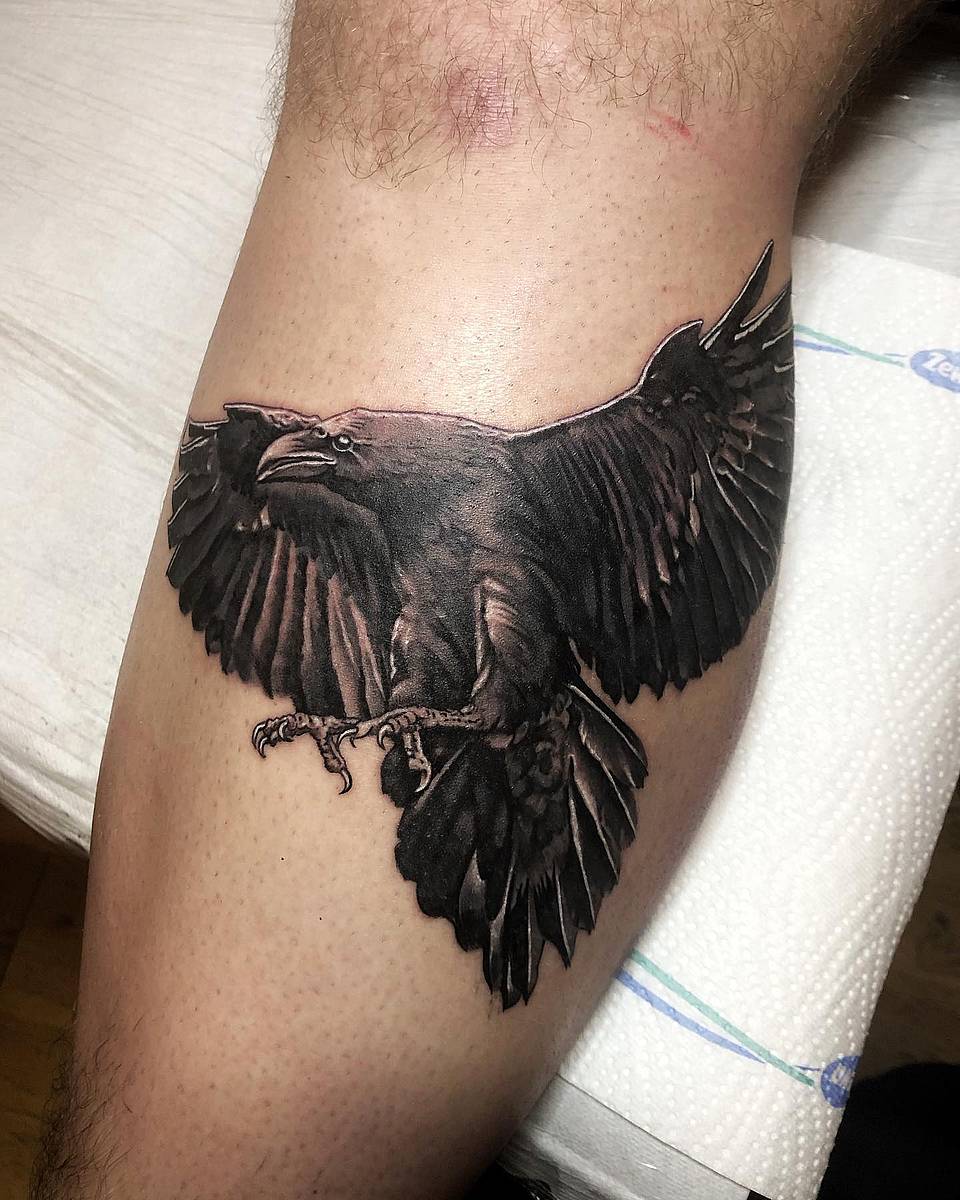 Raven in Flight