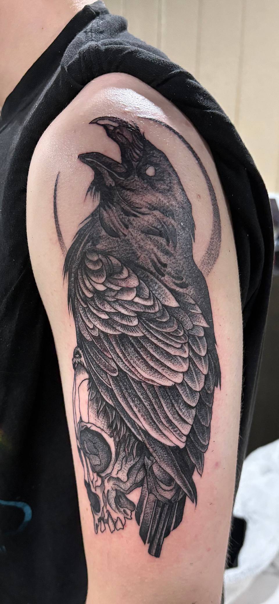 Raven Perched on Skull