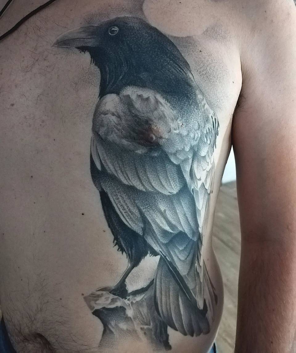 Realistic Crow Chest and Rib Tattoo