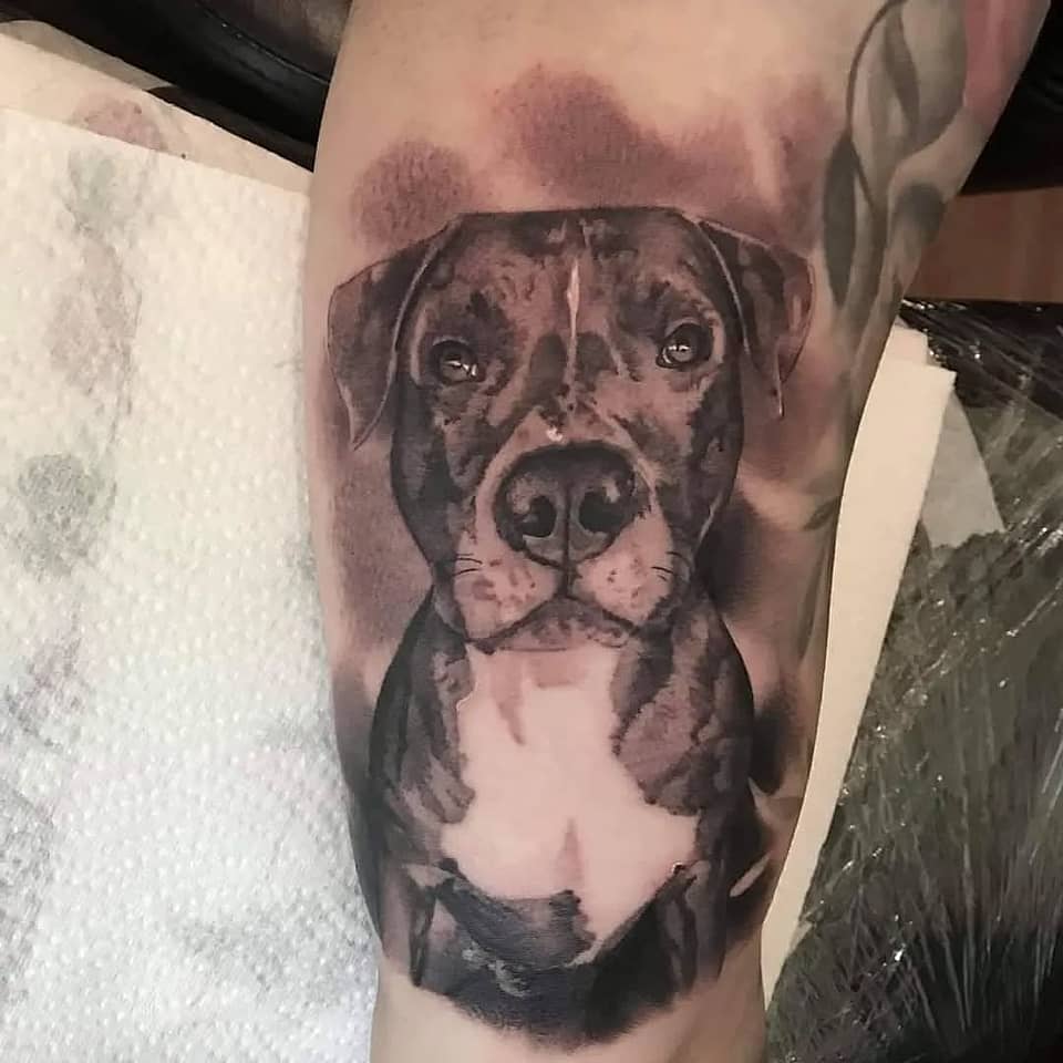 Realistic Dog Portrait