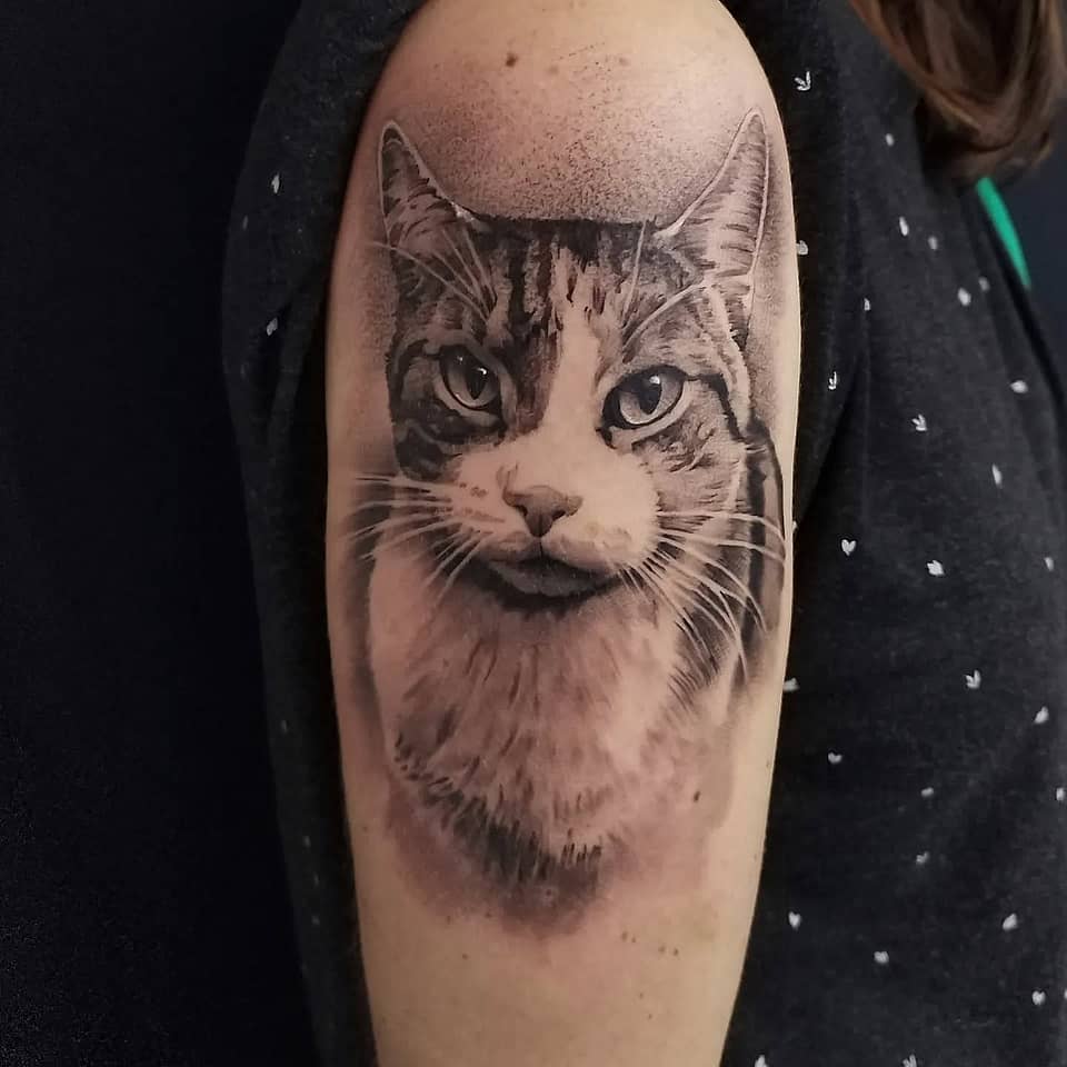 Realistic Tabby Cat Portrait