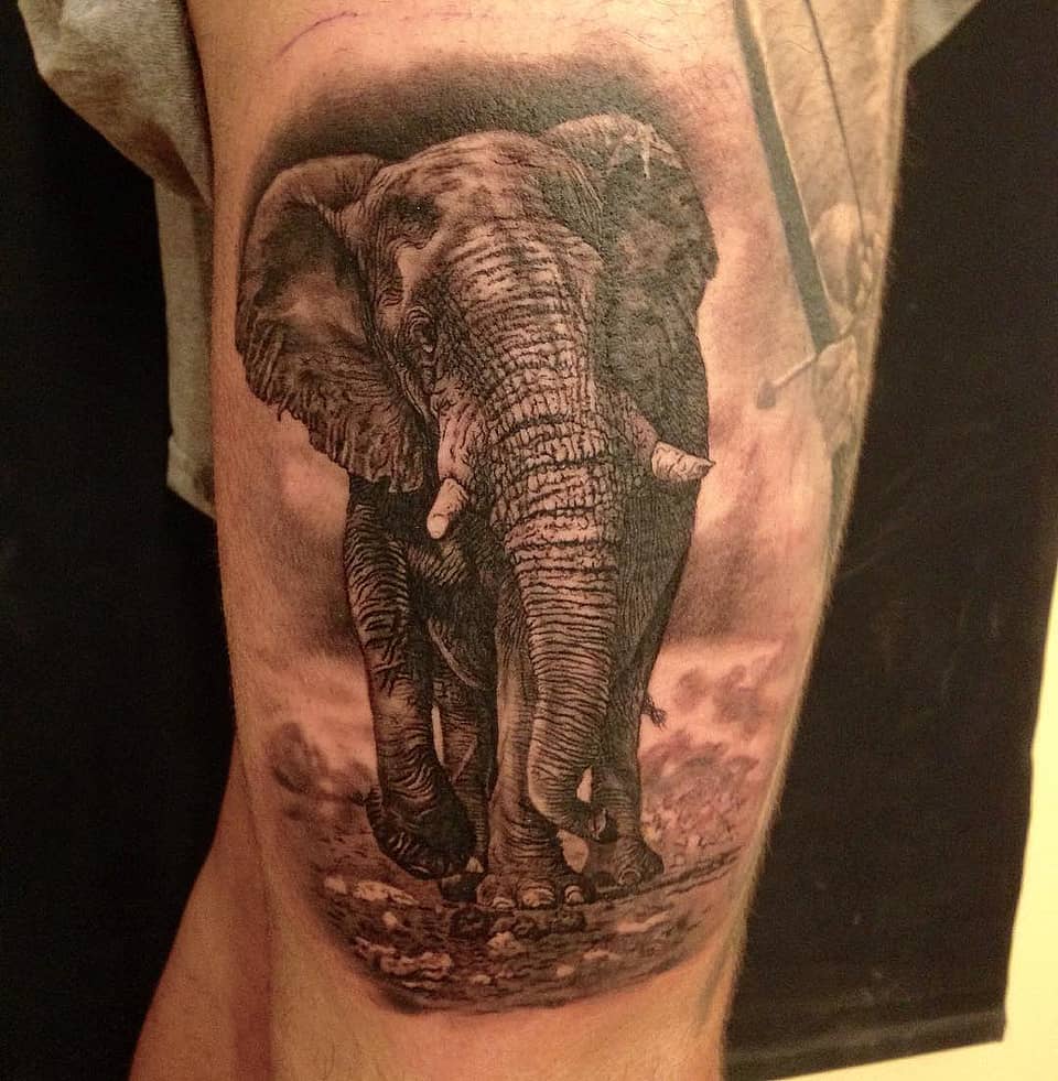 Realistic Walking Elephant