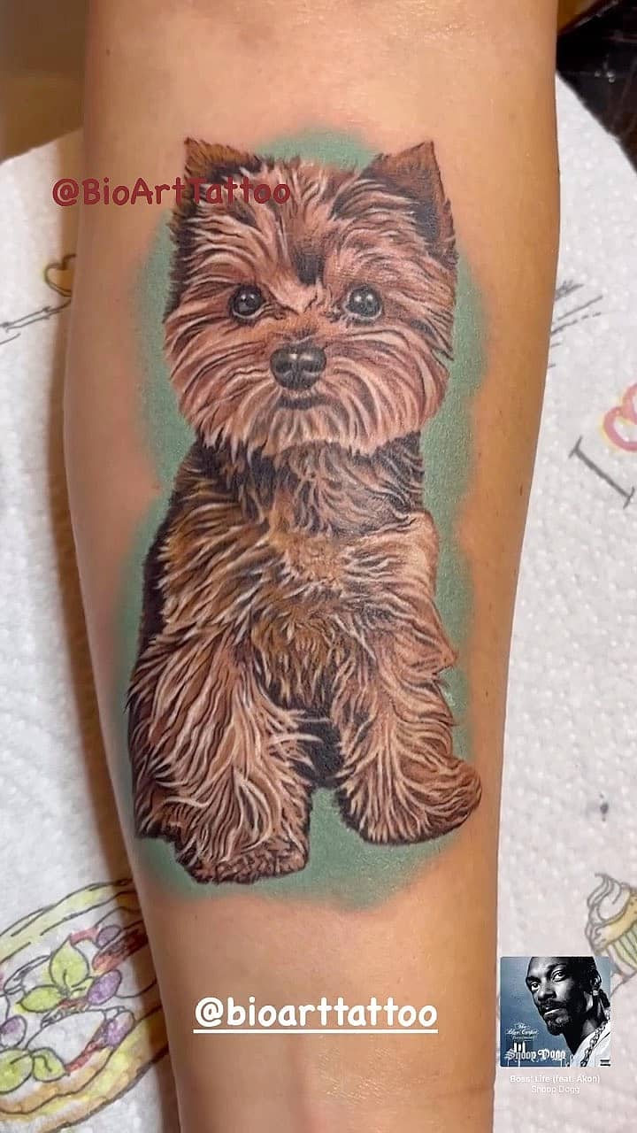 Realistic Yorkie Portrait