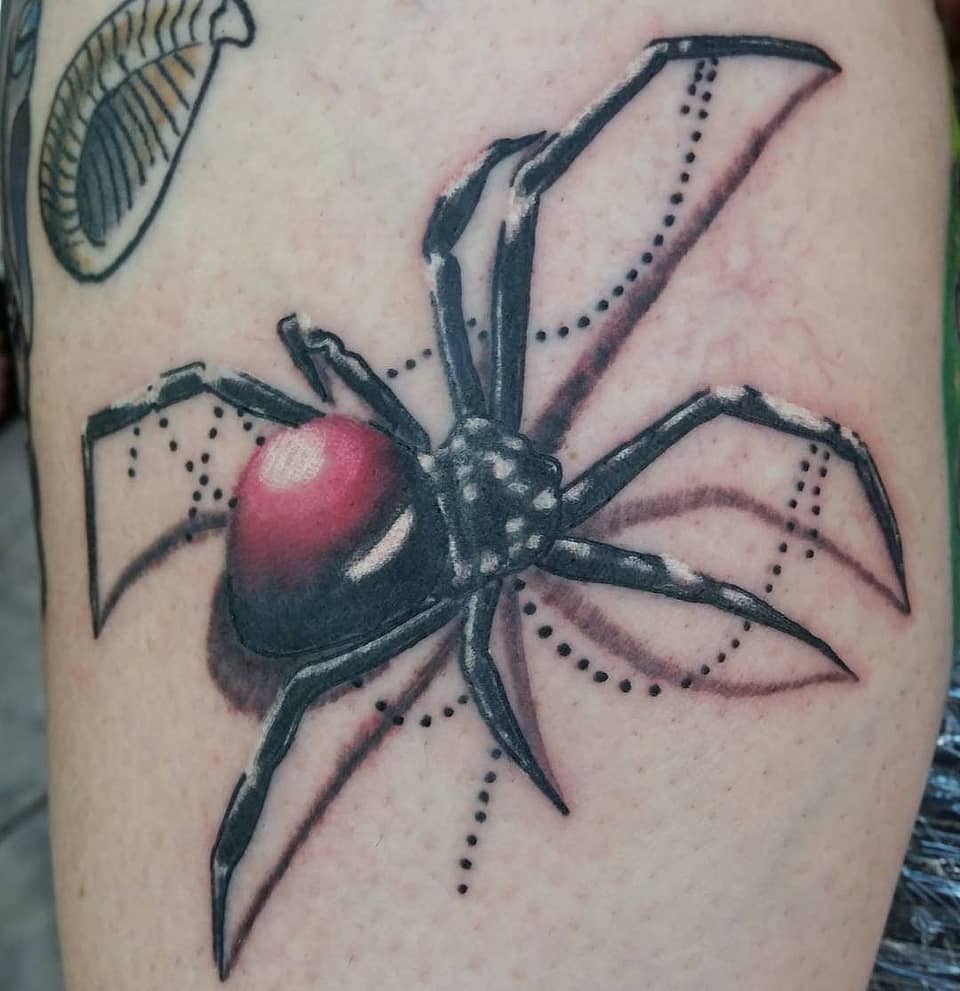 Red-Back Widow