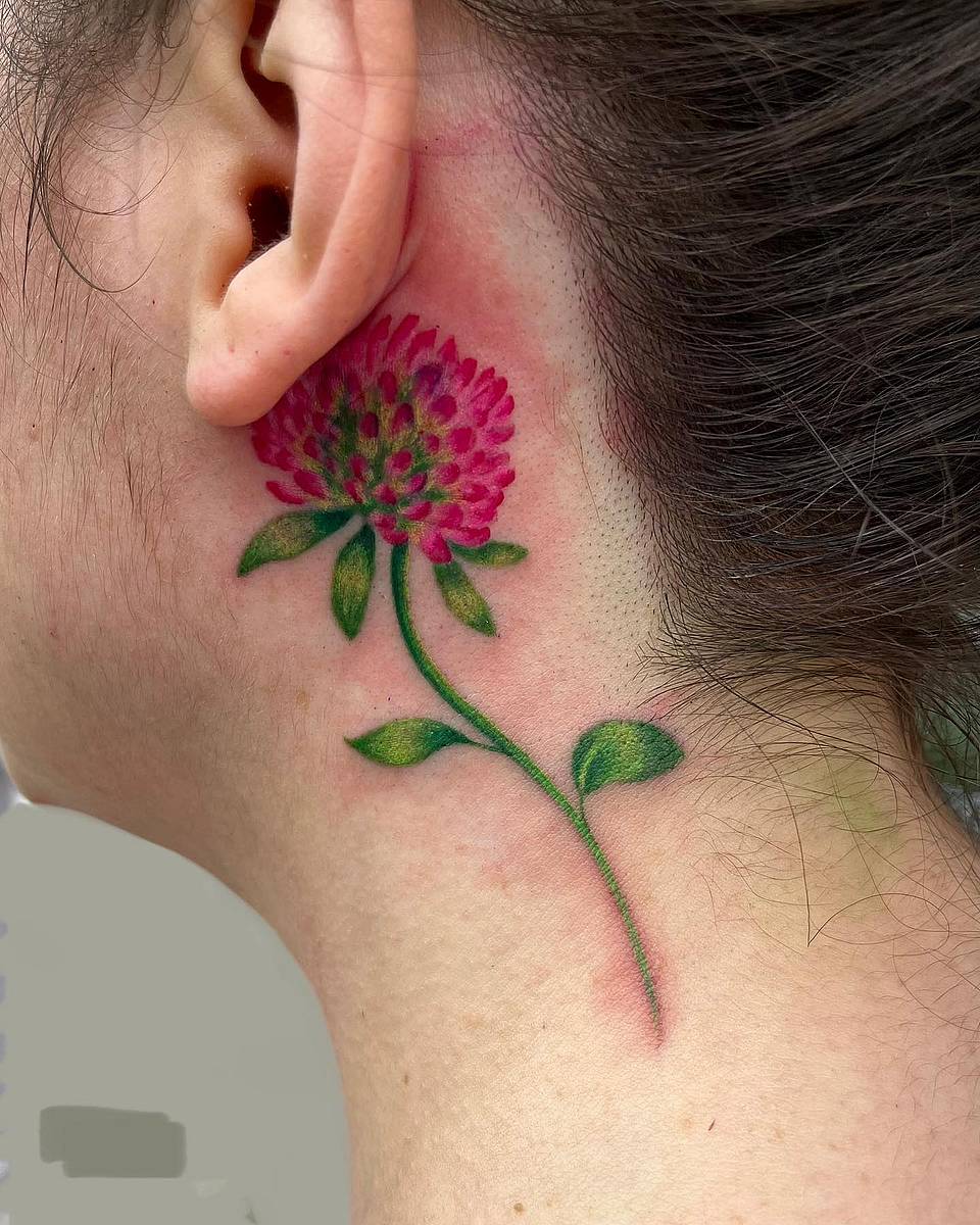 Red Clover Behind the Ear