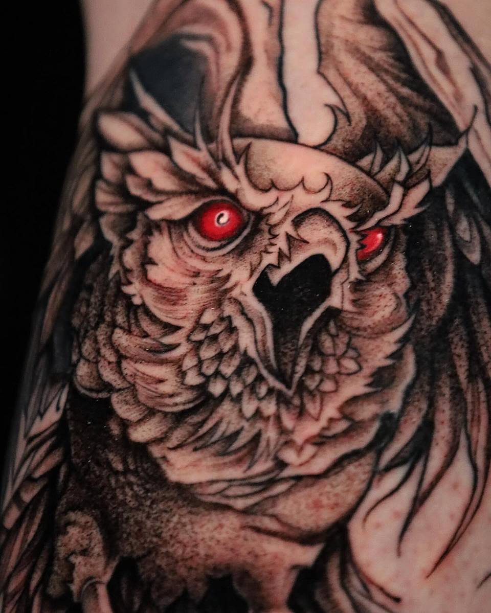 Red-Eyed Night Owl