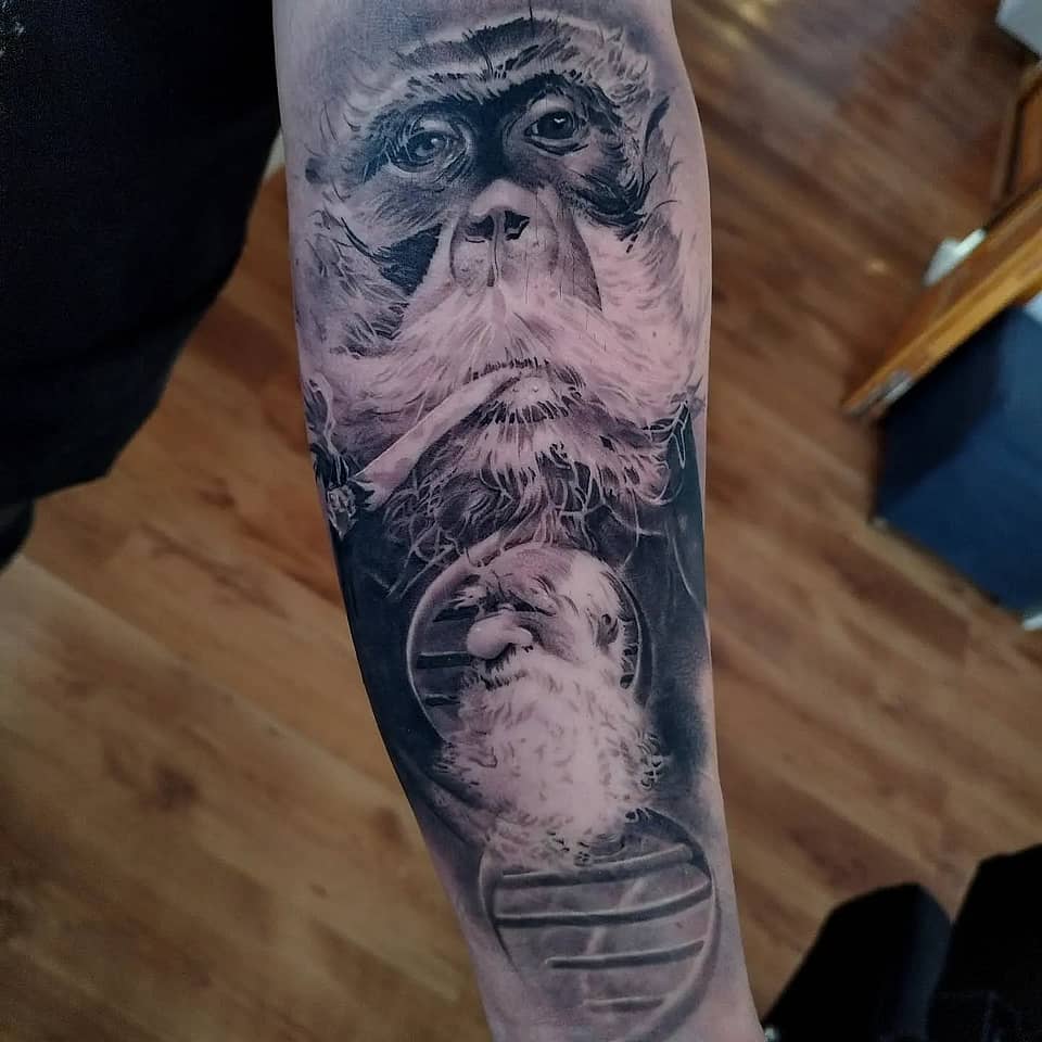 Reflective Smoking Orangutan