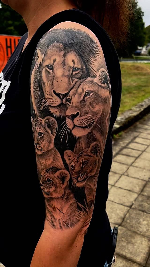Regal Lion Family