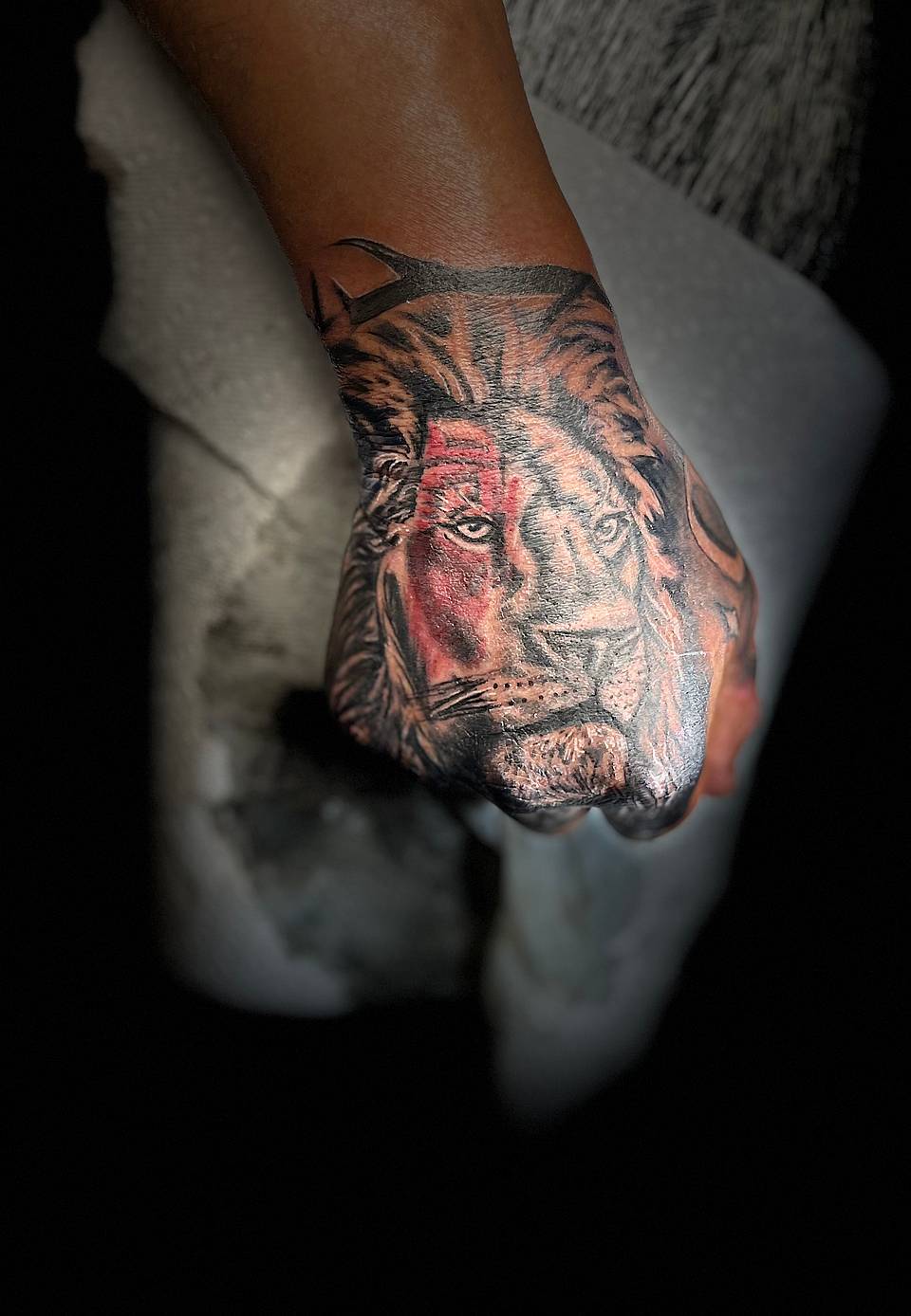 Regal Lion Hand Portrait