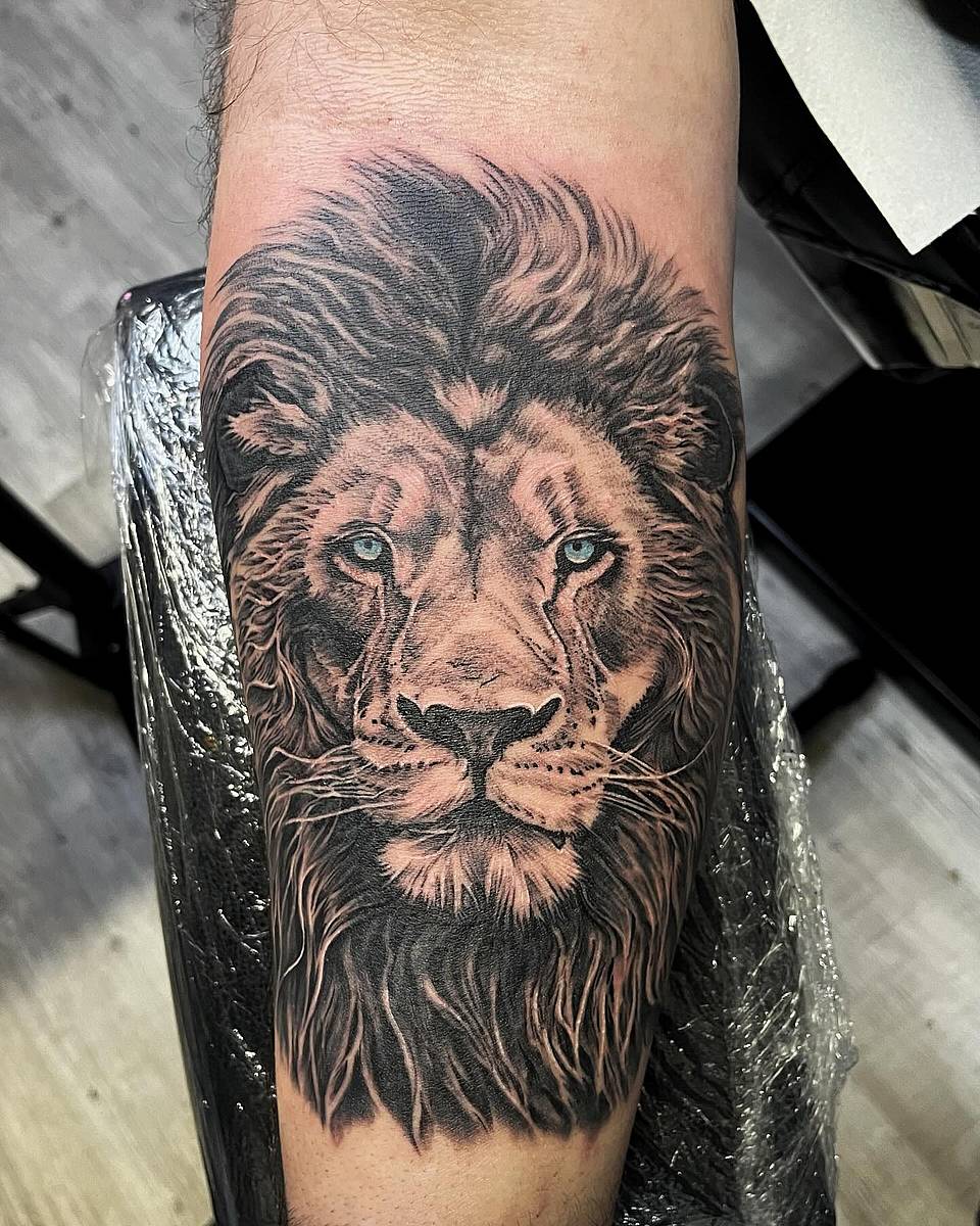 Regal Lion Portrait