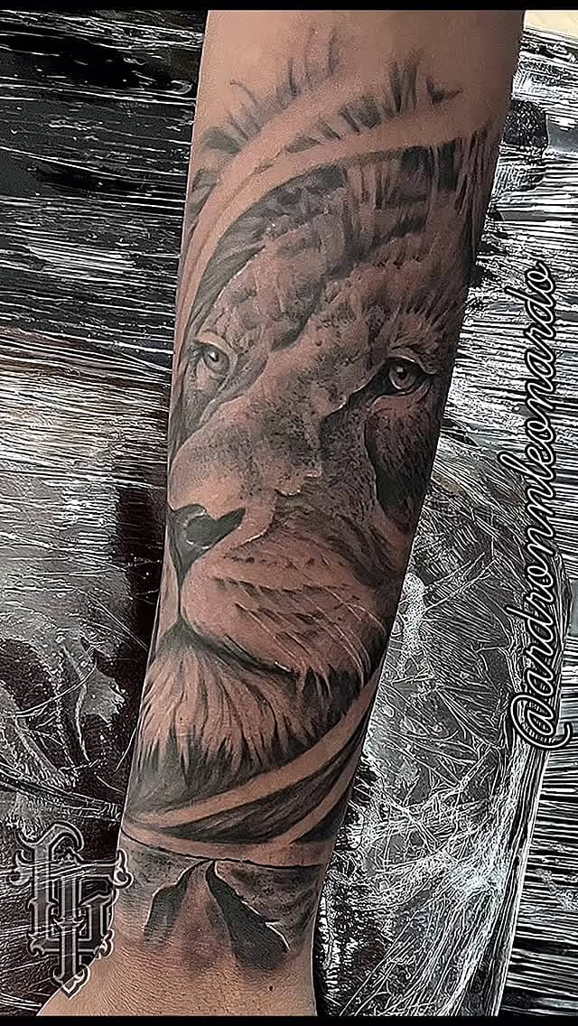 Regal Lion Portrait