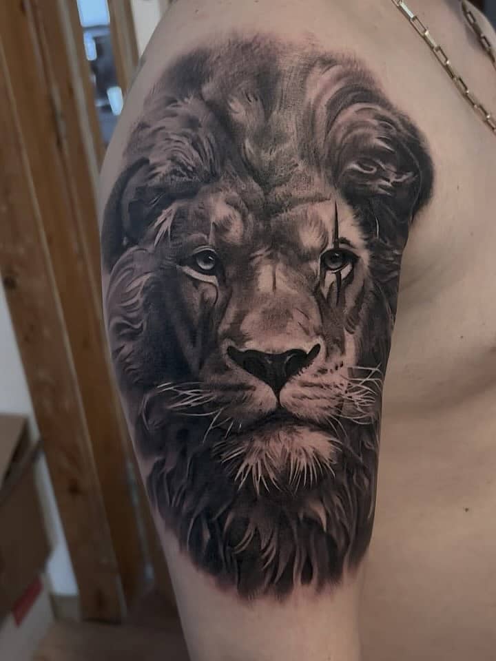 Regal Lion Portrait