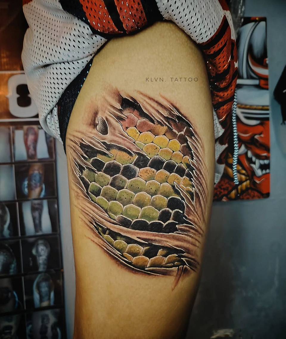 Ripped Skin Reptile Scales
