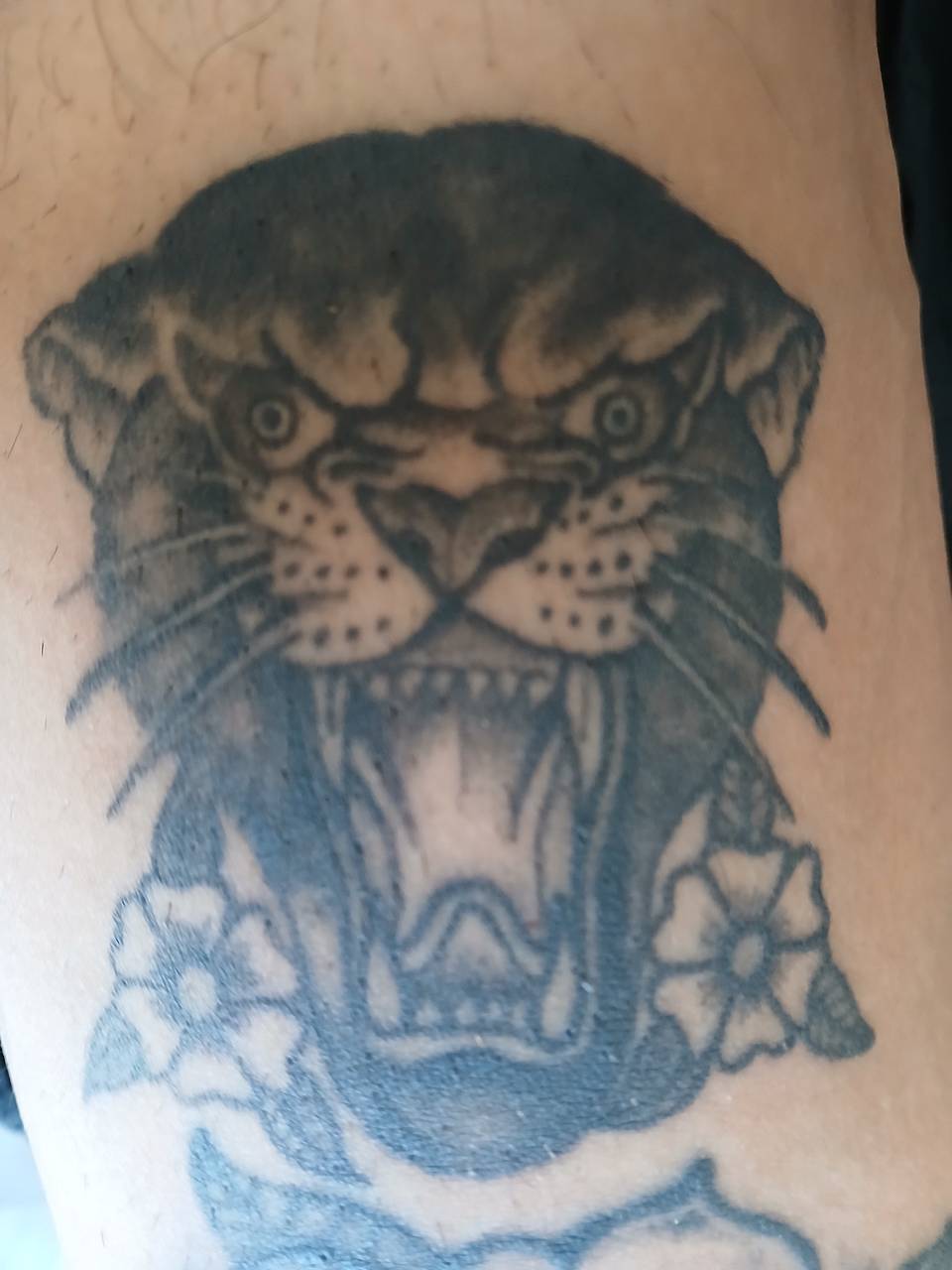 Roaring Panther with Wildflowers