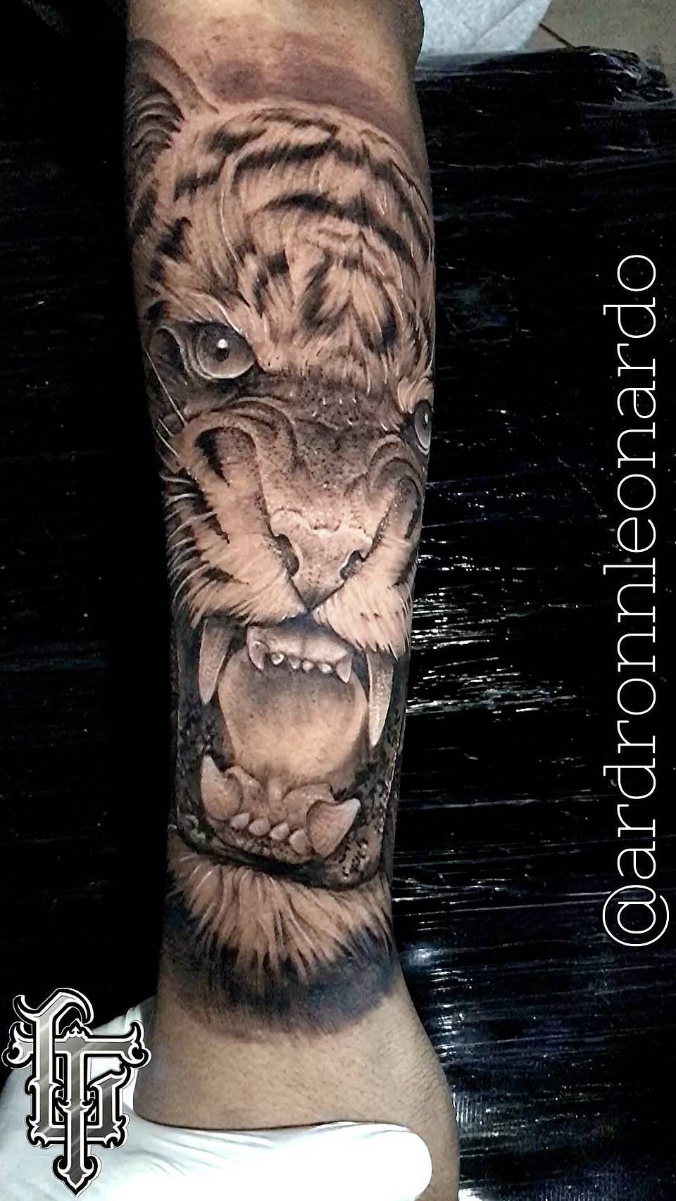 Roaring Tiger Head